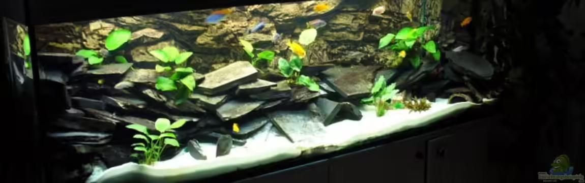 Becken 10132 von Juergen Arnold