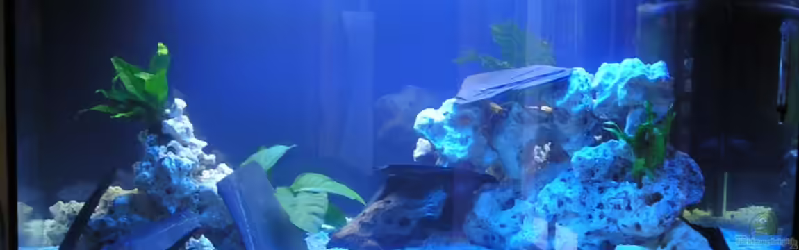 Becken 1014 von Bernd Lottholz