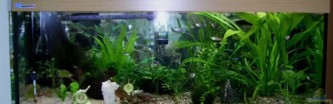 Becken 10144 von Michael Roßner