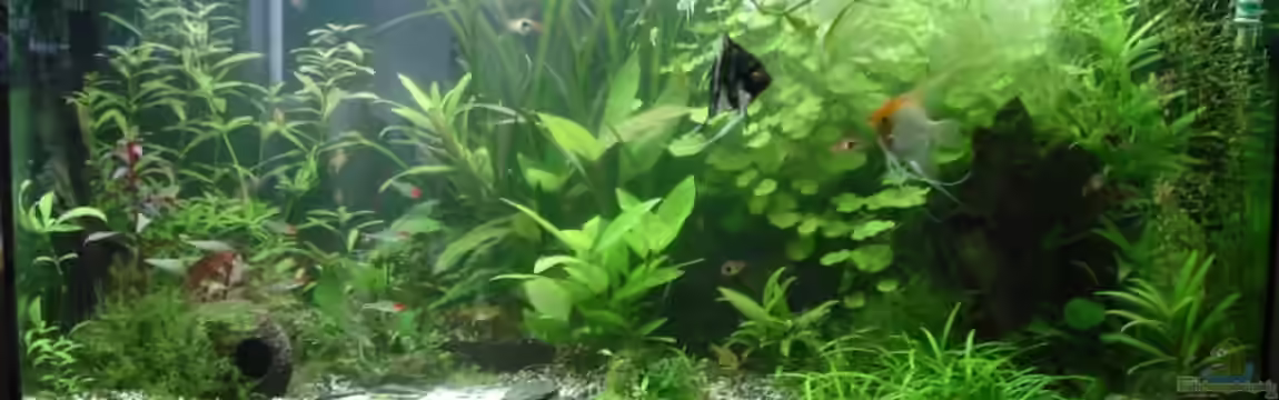 Becken 10150 von quickmike