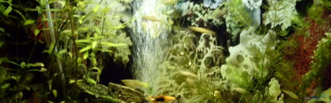 Becken 10168 von Marc Holthausen