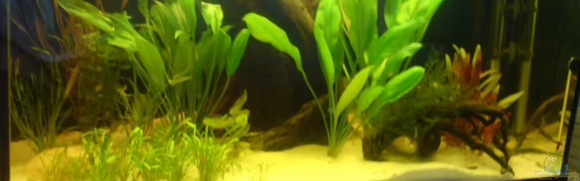 Becken 10175 von Oliver Hüttner