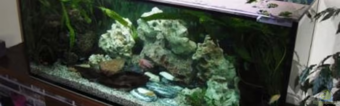 Becken 10197 von gerryba