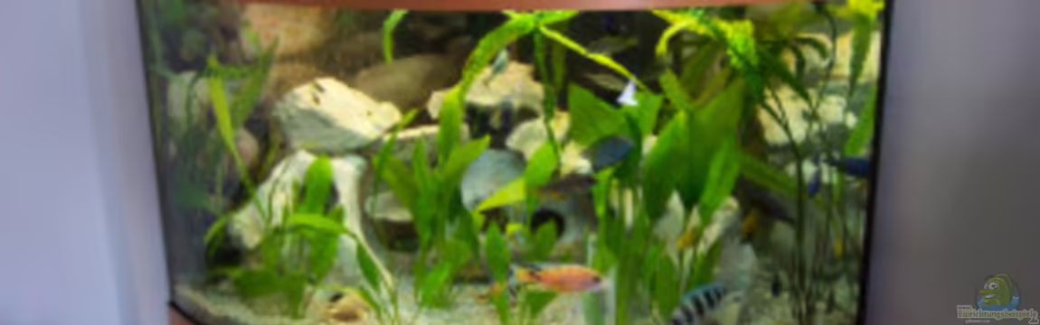 Becken 102 von Christian Kux