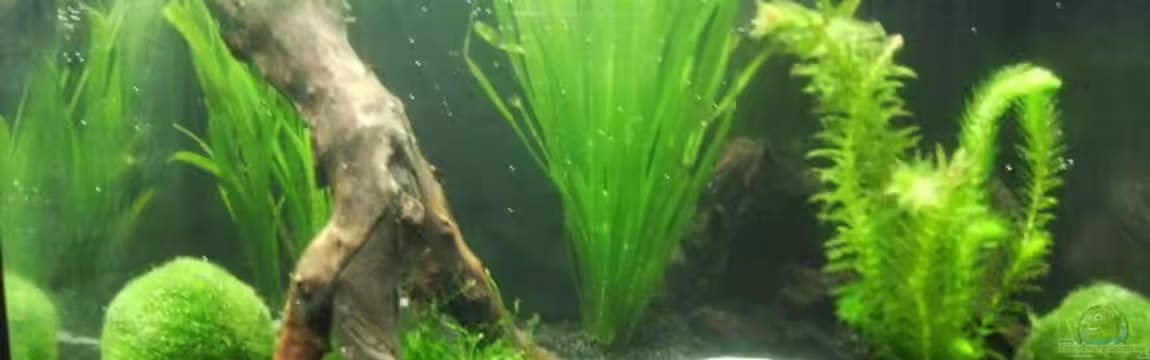 Becken 10216 von Lady_Luck