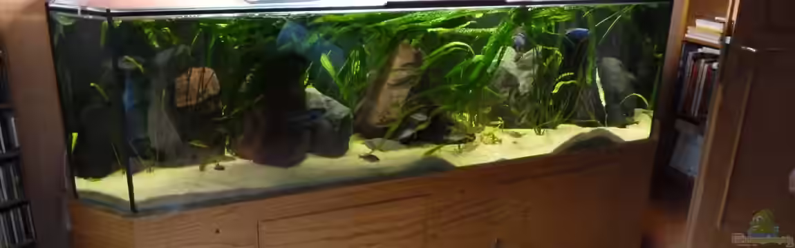 Becken 10218 von roofer112