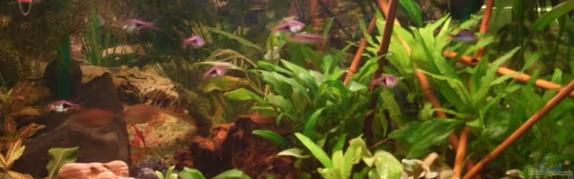 Becken 10229 von Markus Niederhofer