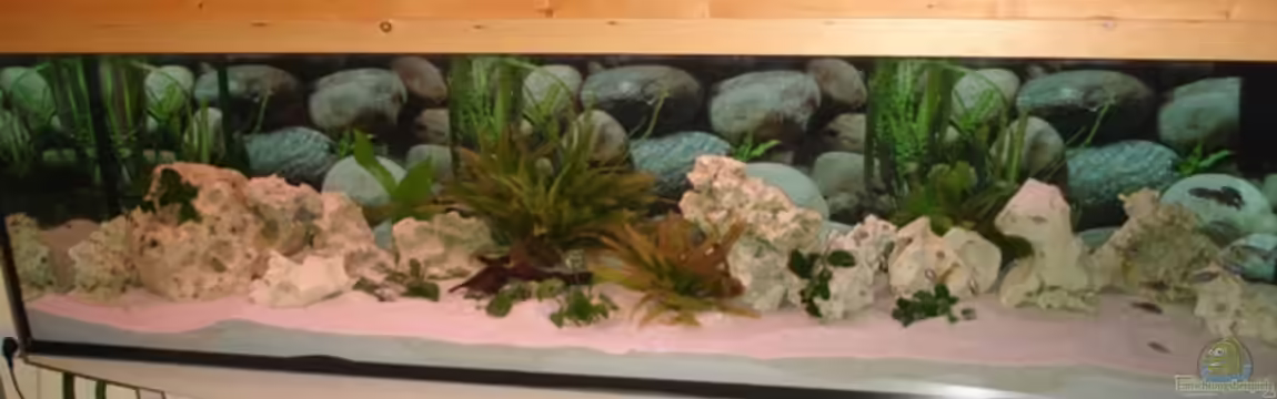 Becken 10244 von Thomas Winterholler