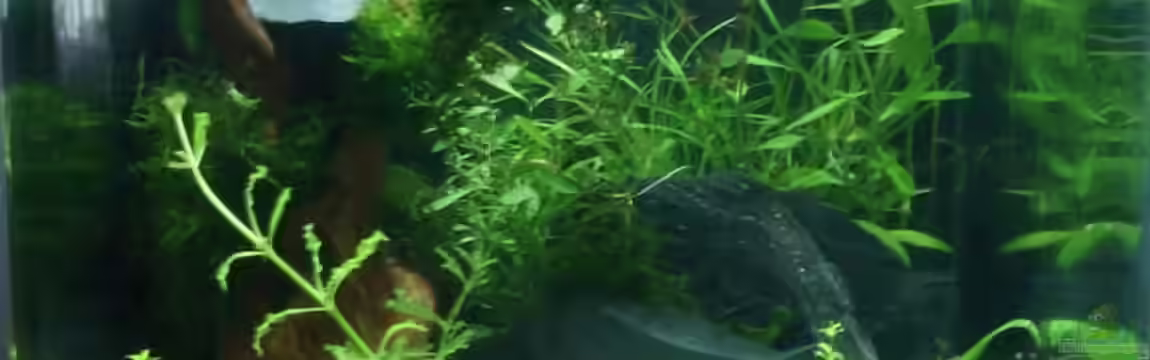 Becken 10254 von quickmike