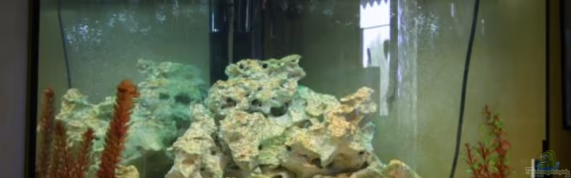 Becken 10286 von Svenja