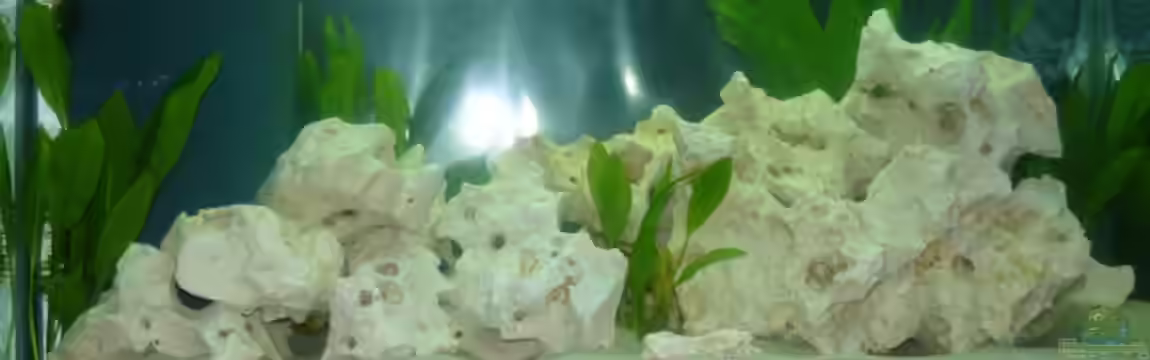 Becken 10304 von wundi82