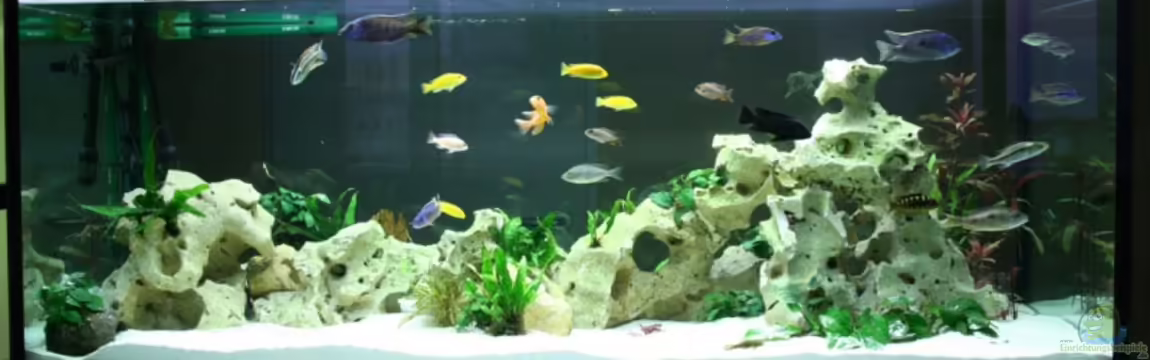 Becken 10326 von Axel Dworak