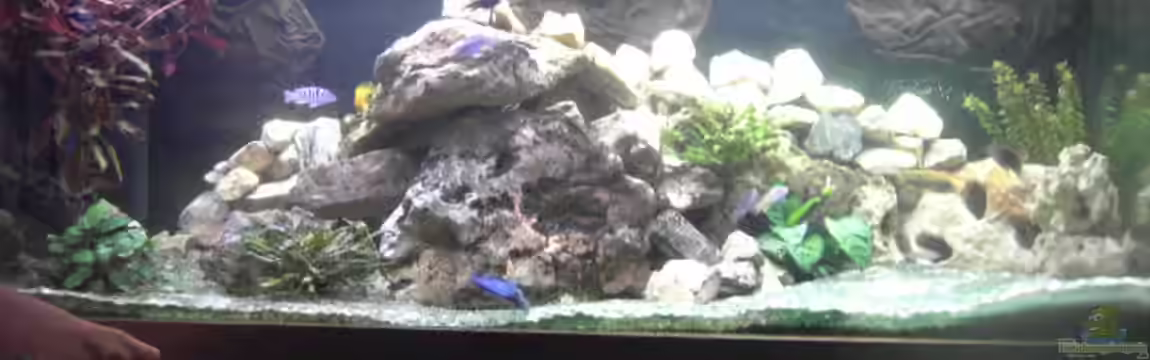 Becken 10357 von Andreas Pauly