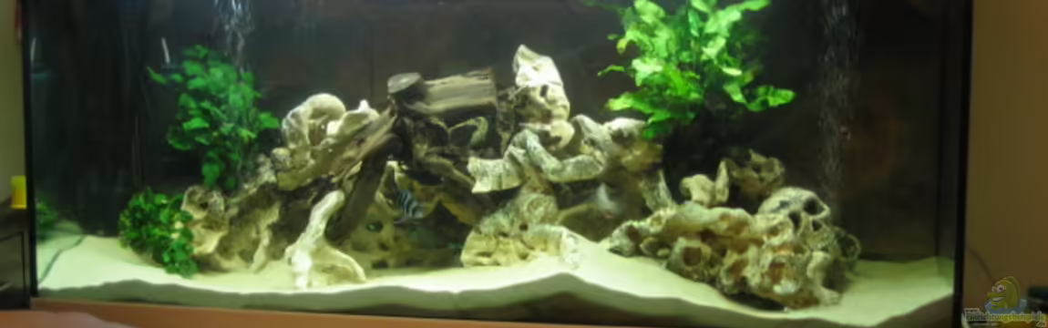 Becken 1036 von Bjoern Spiegelhoff