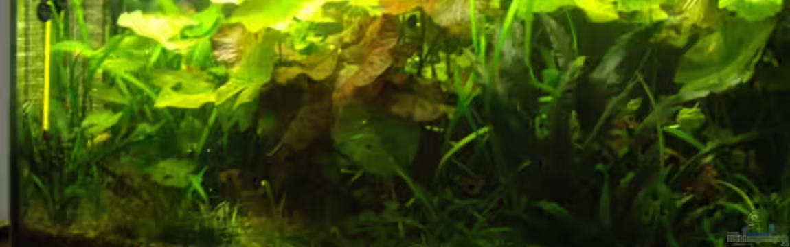 Becken 10380 von Franky Lunatic