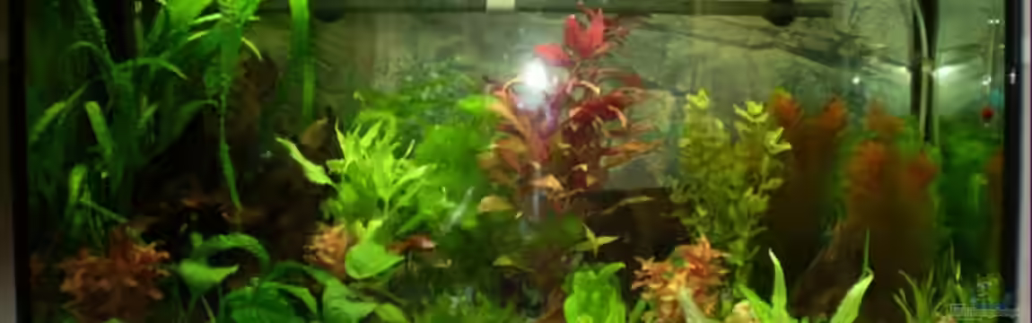 Becken 10386 von Marcus Stremlau