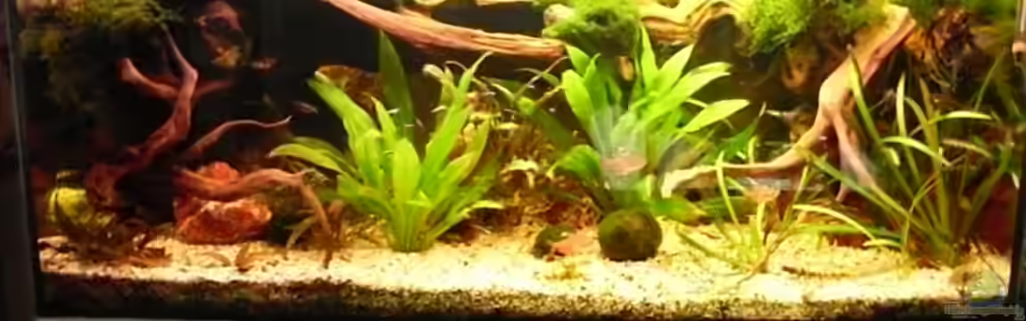 Becken 10407 von Teufelchen79