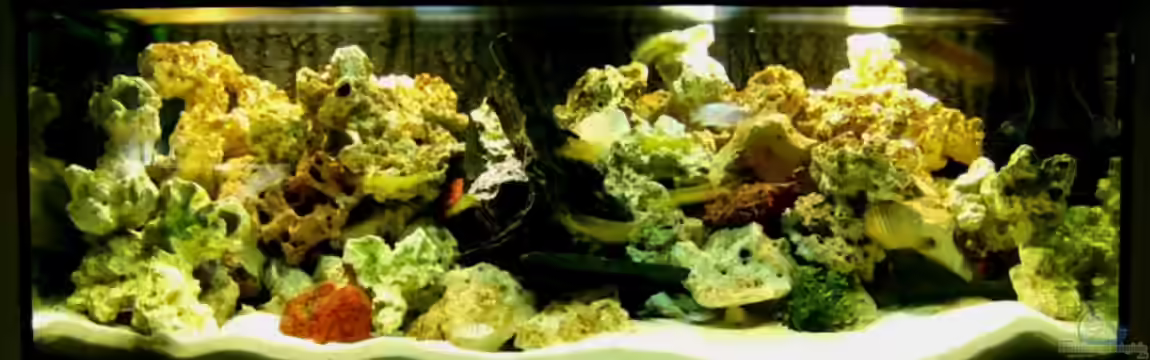 Becken 10417 von Andreas Kraus