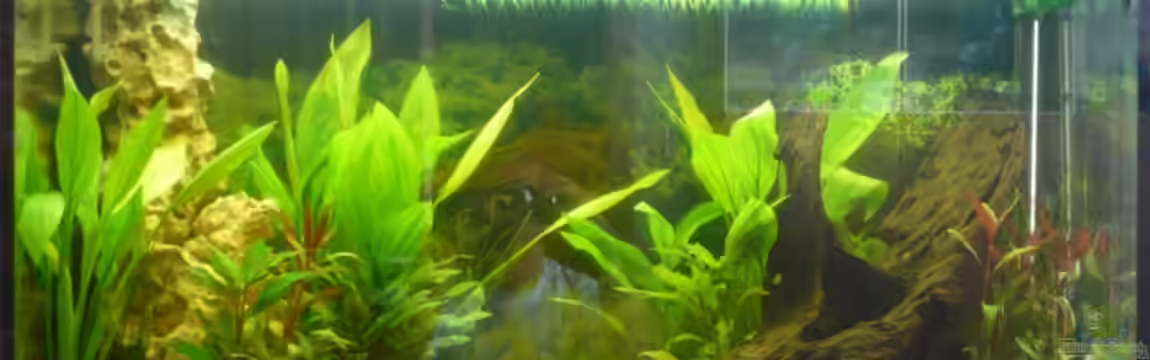 Becken 10419 von cRaZy T