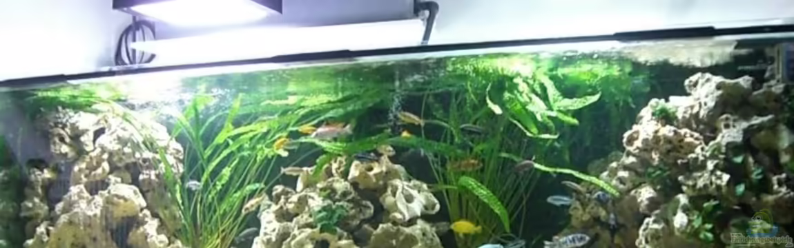 Becken 1044 von Rainer Klettke