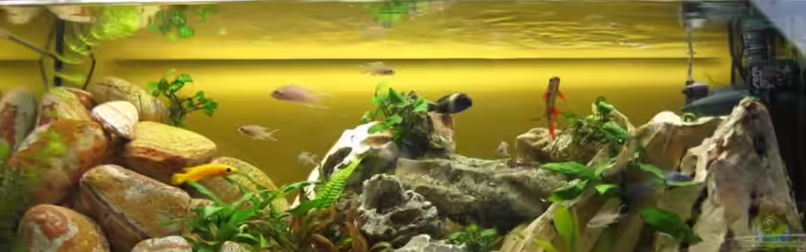 Becken 10456 von Bene92