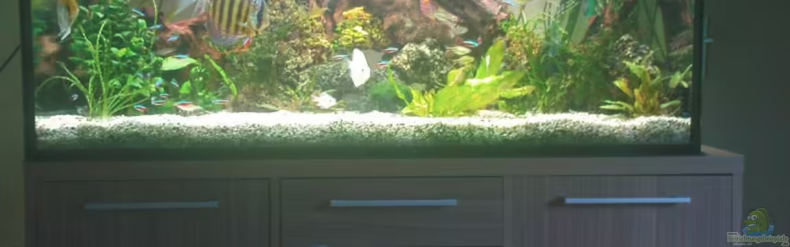 Becken 10459 von Christian Wertebach