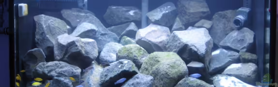 Becken 10474 von Michael Kuhl