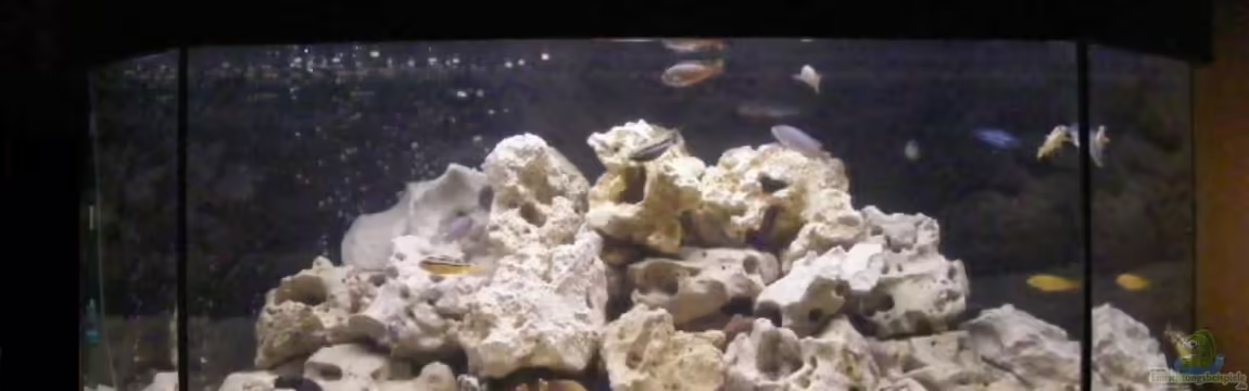 Becken 10495 von Malaw!K!d