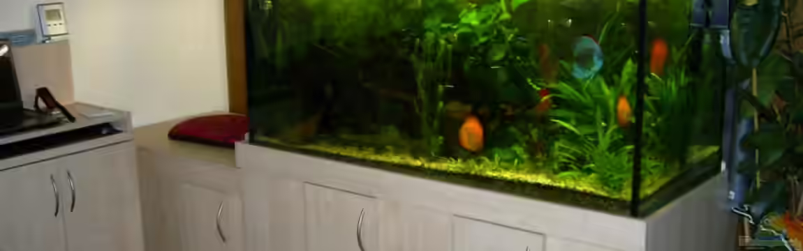 Becken 10504 von Johann Bihler