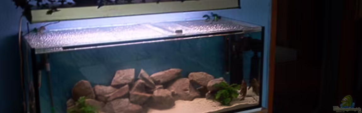 Becken 1051 von Dominic Moritz