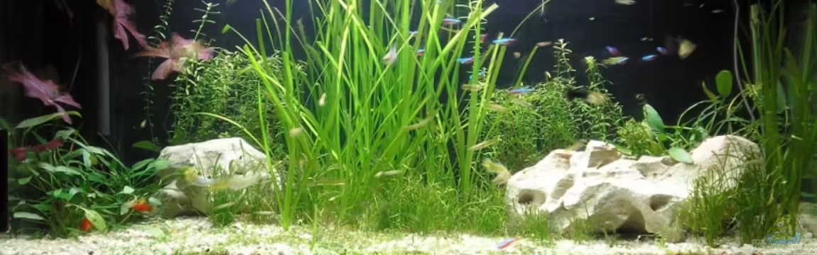 Becken 10552 von Mario Lange