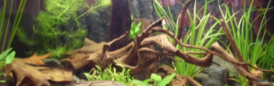 Becken 10582 von Jan Schilling