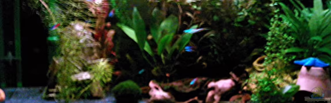 Becken 1061 von Michael Meyer