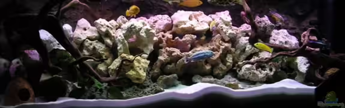 Becken 10624 von Gottfried Lechner