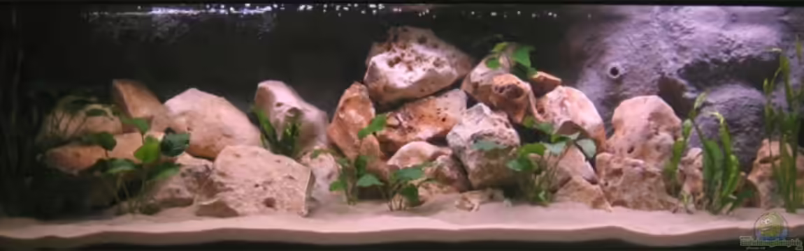 Becken 10638 von Pepe1981