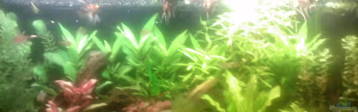 Becken 10651 von Christoph Leuschner