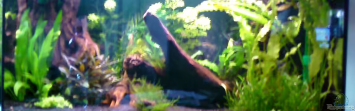 Becken 10667 von BJ210879