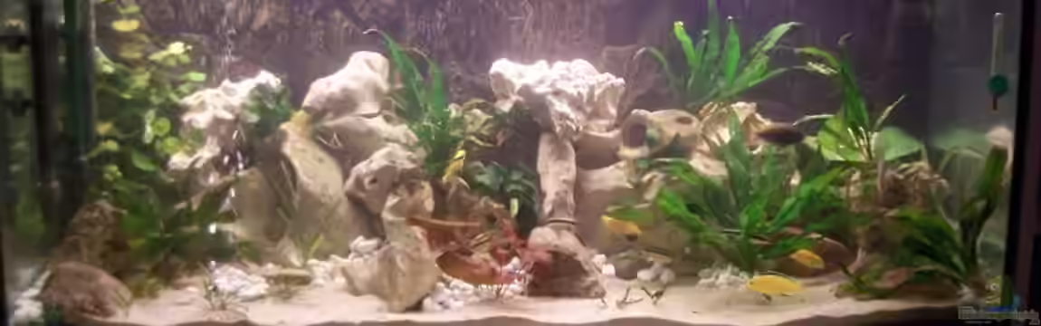 Becken 10668 von Uwe Richter