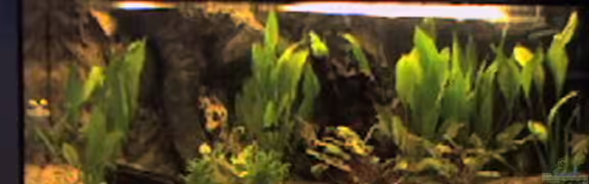 Becken 10678 von Manuel Kälsch