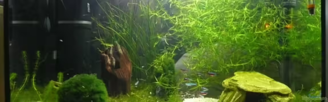 Becken 10789 von cRaZy T