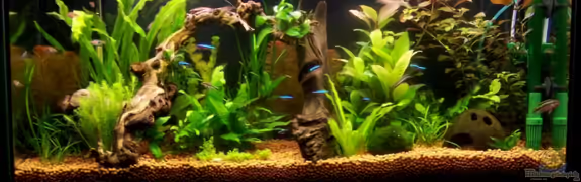 Becken 10792 von Tino Pesenecker