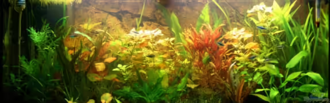 Becken 10793 von stefanhwi