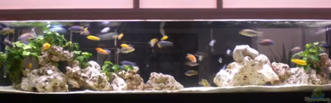 Becken 10811 von h.p.m