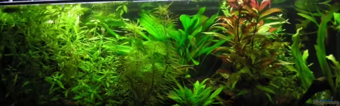 Becken 1087 von Mario Theiß