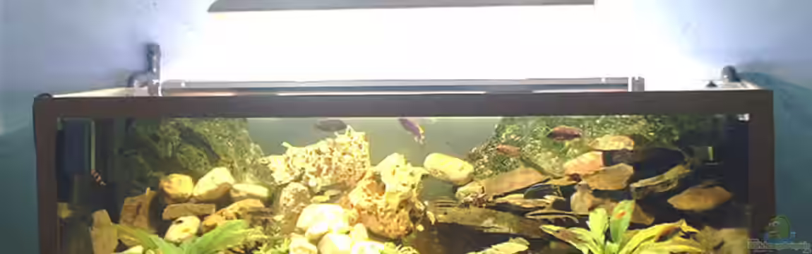 Becken 109 von Silvano Erjavec