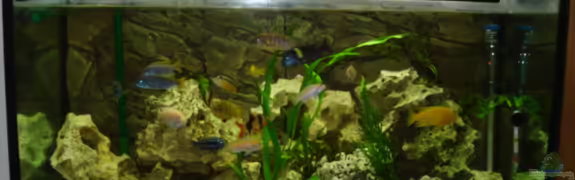 Becken 10914 von Andreas Deutschmann