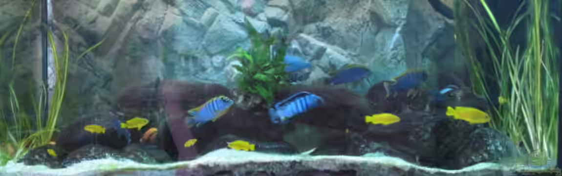 Becken 10926 von Julian Schmitt