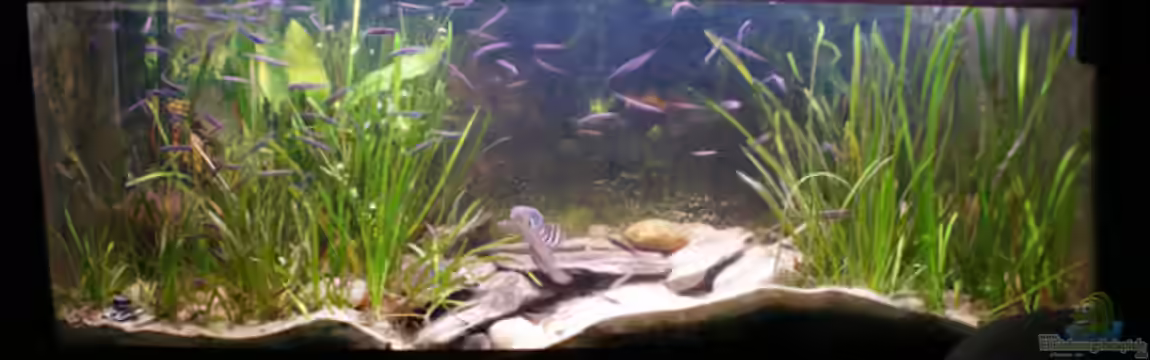 Becken 10932 von Channa667