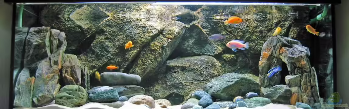 Becken 1094 von Ludwig Prantl