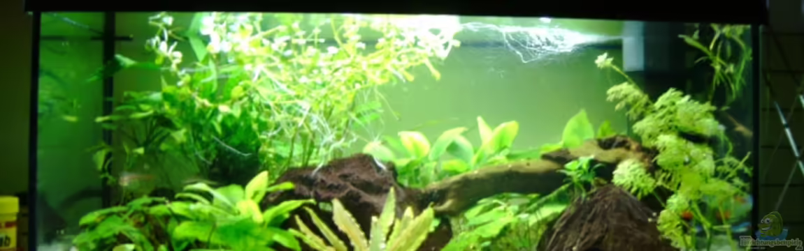 Becken 10949 von Oimel